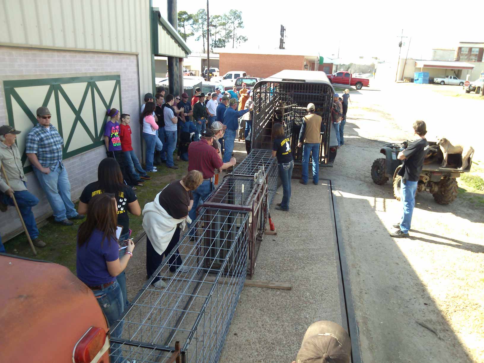 Potts Feed Store Hog Hunt WeighIn 2313 At Potts Feed Store Quitman